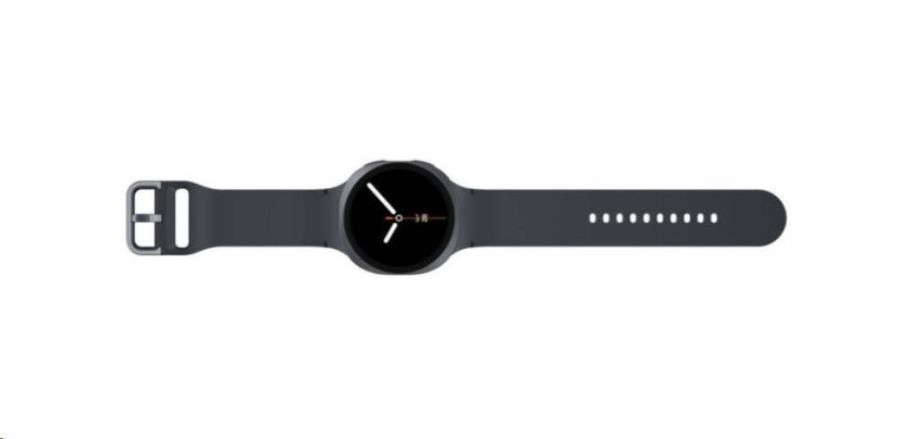 Samsung Galaxy Watch8 (44mm) LTE grafitová, EU